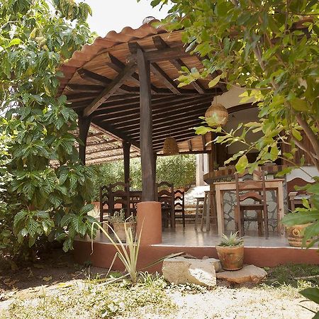 Casa Huijazoo Nature & Balance Otel Mazunte Dış mekan fotoğraf
