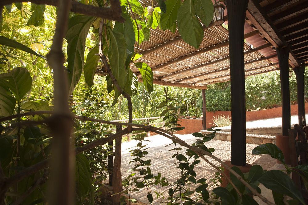 Casa Huijazoo Nature & Balance Otel Mazunte Dış mekan fotoğraf